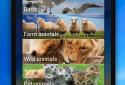Animal Sounds screenshot 5 Animal Sounds screenshot 5