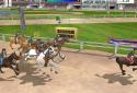 Athletics 3: Summer Sports screenshot 10