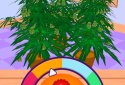 Weed Life 3D - ASMR Game screenshot 2