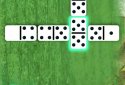 Domino Master screenshot 1