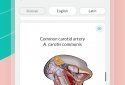 Easy Anatomy  screenshot 4