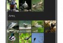 Aves Gallery screenshot 1