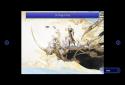 FINAL FANTASY V screenshot 8