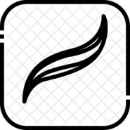 Procreate Cake Drawing kit