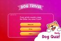 Dog Hotel Tycoon screenshot 7