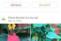 PlantNet Plant Identification screenshot 1