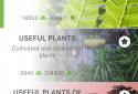 PlantNet Plant Identification screenshot 3