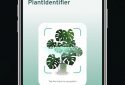 Plant ID: Plant Identification screenshot 3