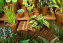 Green Thumb: Gardening & Farm screenshot 4