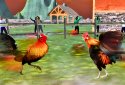 Angry Chicken Fighting Cock screenshot 1