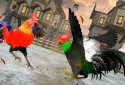 Angry Chicken Fighting Cock screenshot 5