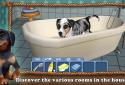 DogWorld Premium - мой щенок screenshot 4