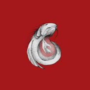 Brotula