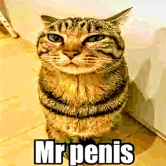 Mr_PENISSSSSSS