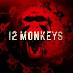 12MONKEYs