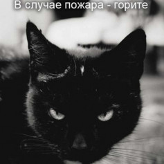 Единорогвпальто