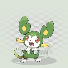 Тонкорожик