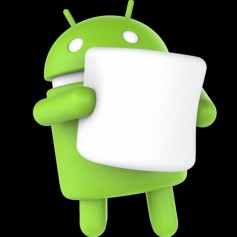 БакайБакай