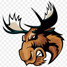 SteelMoose