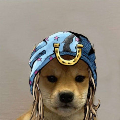 JONNY GAVSTAR