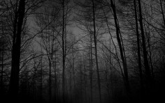 avindyushkin@mail.ru