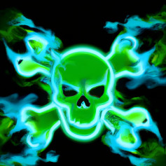 XGXNT