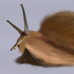 Ы(Ушёл с сайта)