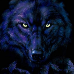 SPARX