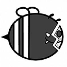 THEAMMPLE
