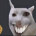 GunFallGer
