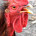 Petuchara