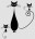 Sejes
