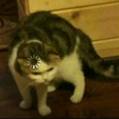 Ro_