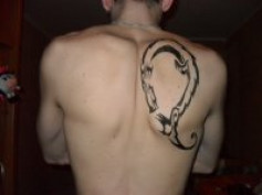 user460396