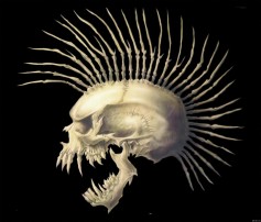 who reads this moron