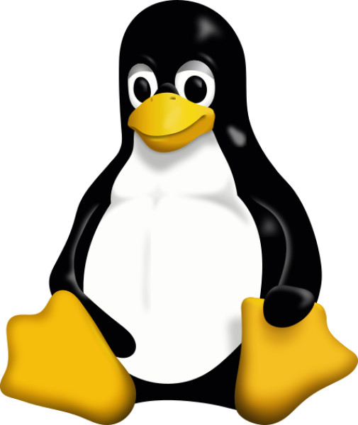 tux.svg.jpg