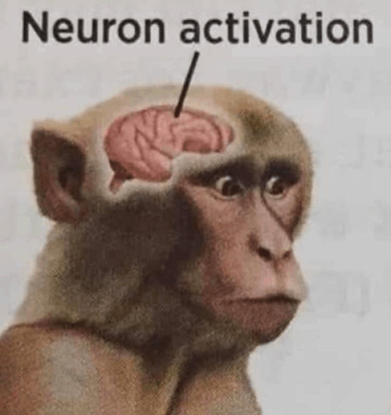 neuron-activation-monkey.jpg