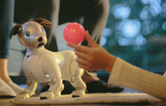 Ум, эмоции и капля пушистости: 6 забавных ИИ-компаньонов